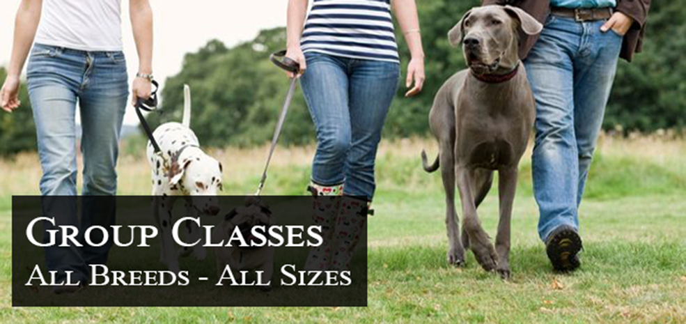 Group Classes