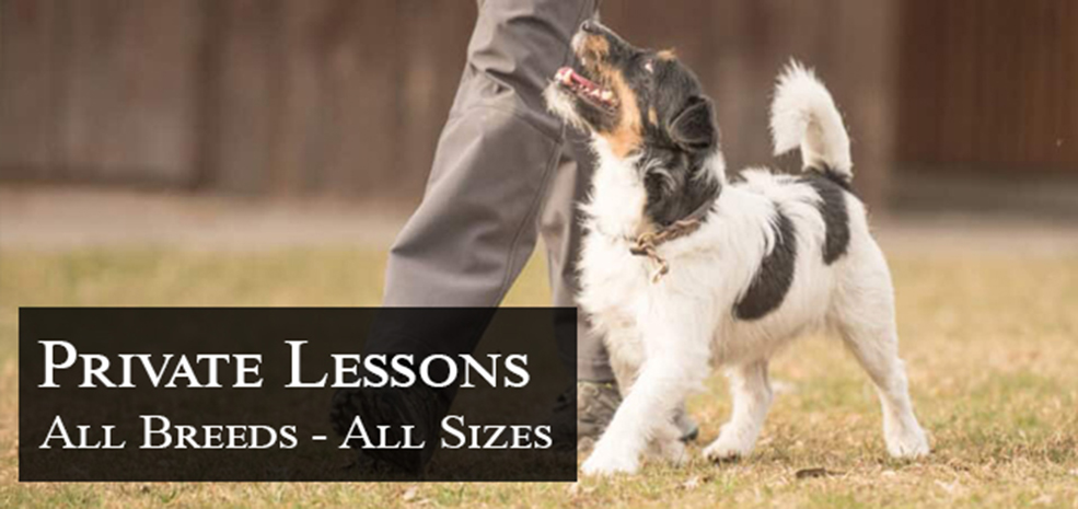 Private Lessons